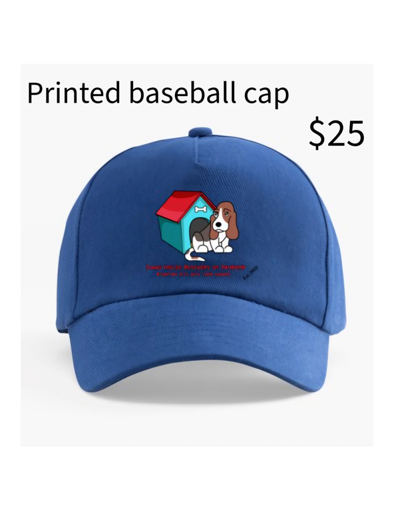 Printed Baseball Cap Style 3