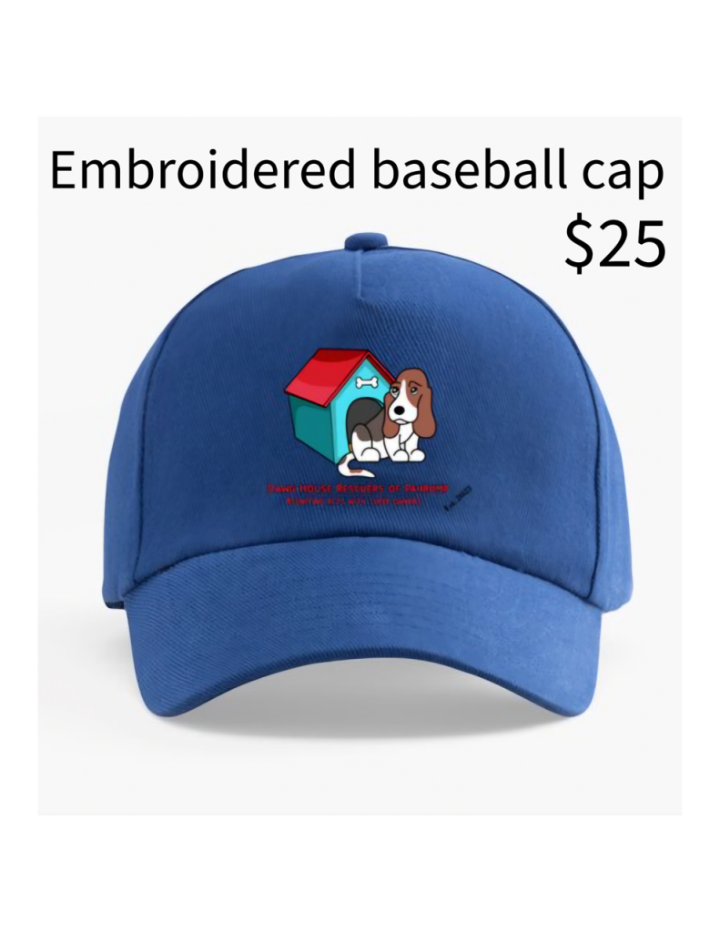 Embroidered Baseball Cap Style 4
